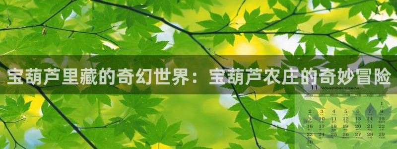 天辰娱乐内部