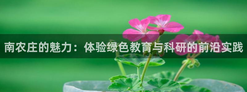 天辰娱乐新