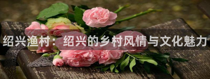 辰天娱乐