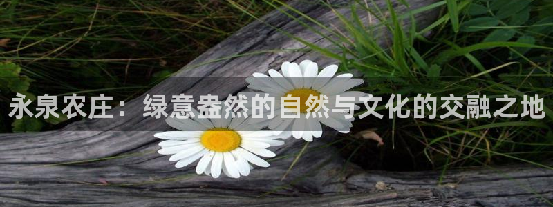 天辰娱乐_675138