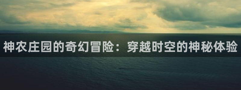 天辰娱乐论坛