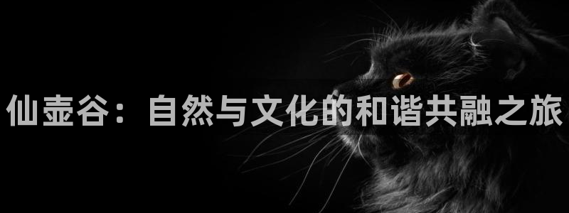 南京天辰娱乐
