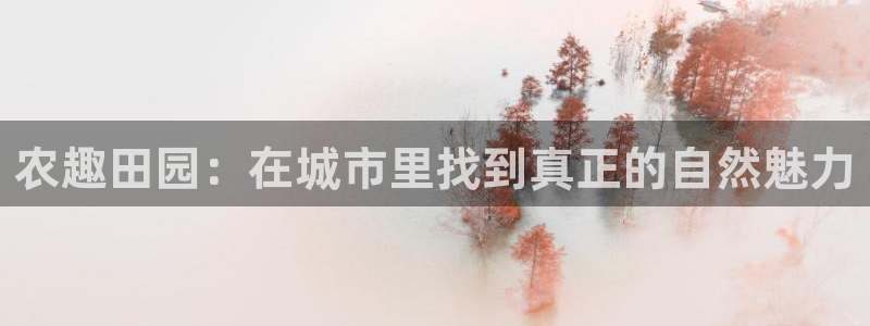 天辰娱乐游客