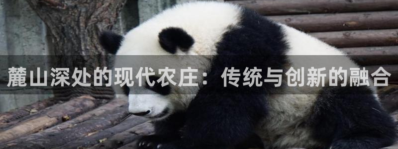 天辰娱乐官网平台下载