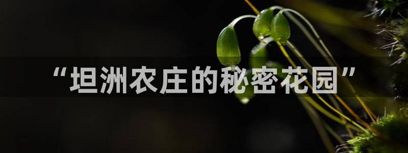 天辰娱乐的网址首页