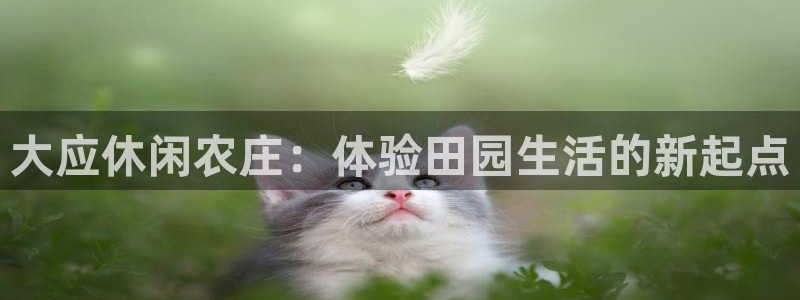 天辰app娱乐