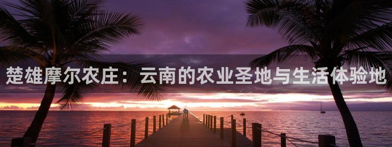 天辰娱乐官网