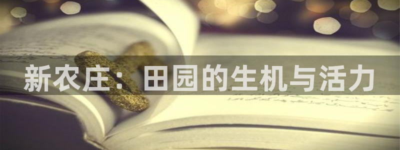 天辰娱乐直属