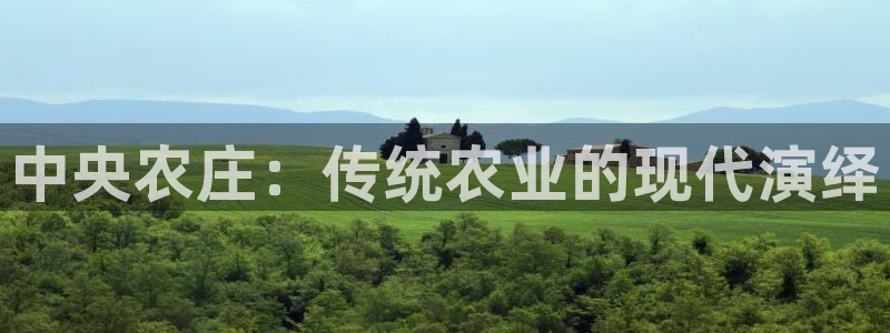 天辰娱乐国际