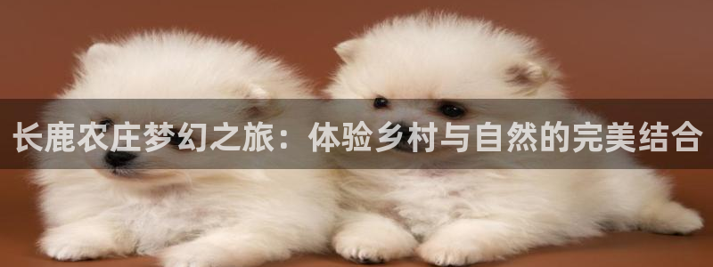 天辰娱乐平台入口