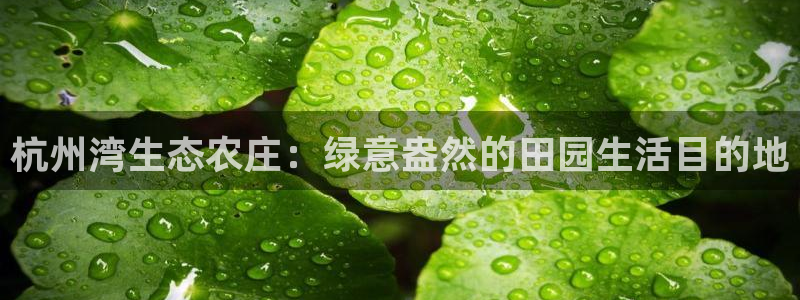 天辰娱乐连接