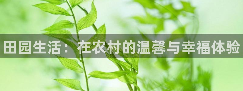 天辰娱乐官网平台入口