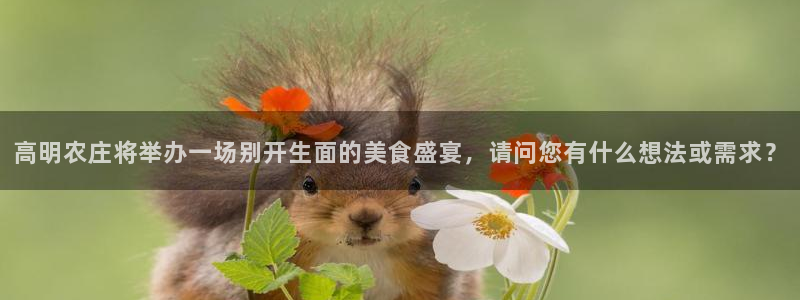 天辰娱乐上级