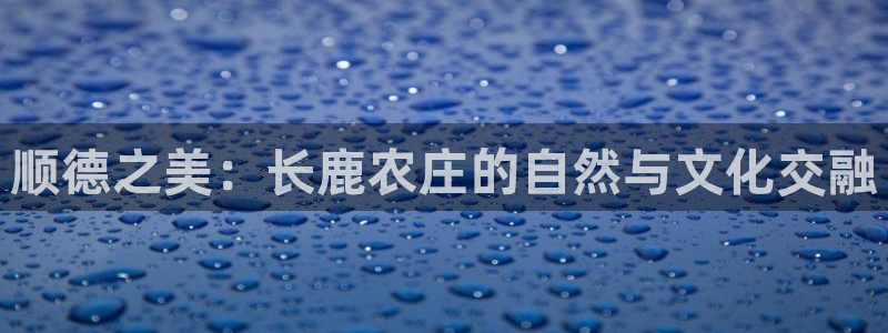 天辰娱乐直属
