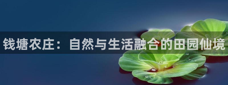 天辰线上娱乐