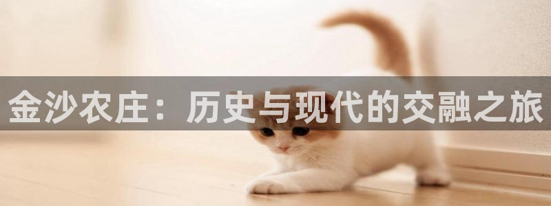天辰娱乐公司