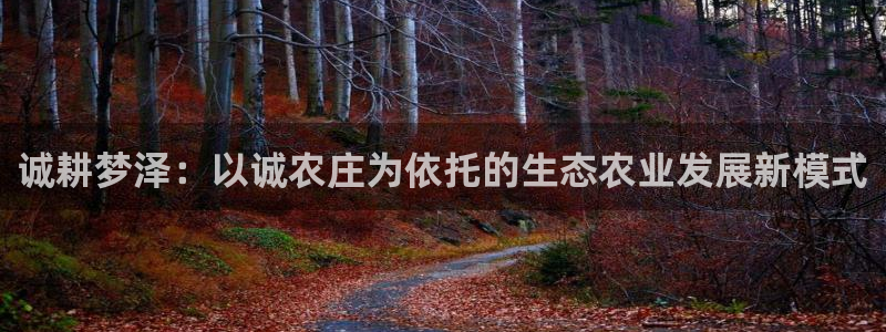 天辰娱乐下载