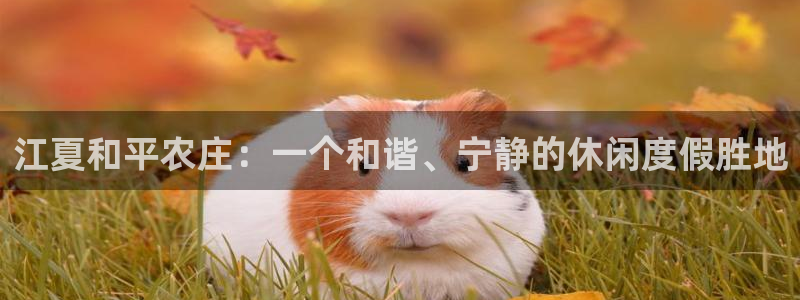 天辰娱乐游戏平台怎么样