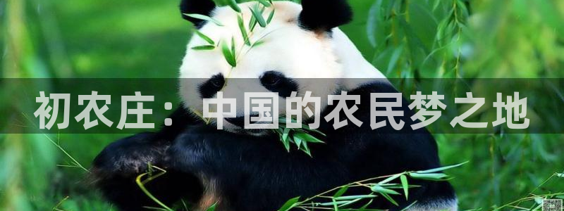 天辰娱乐 天辰平台