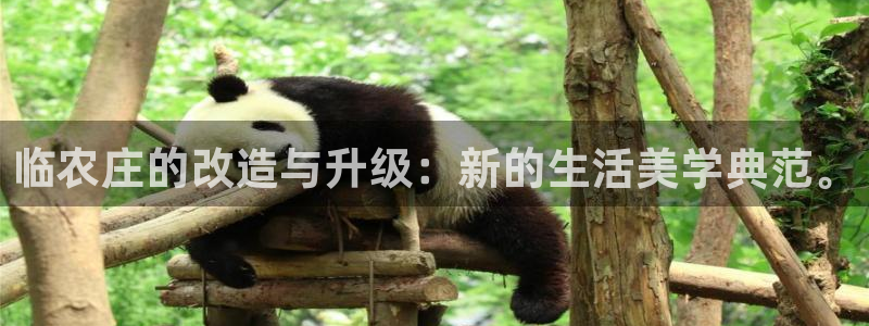 天辰娱乐