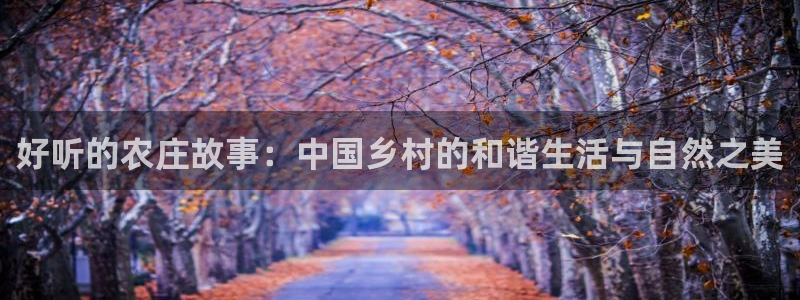 天辰娱乐官网平台入口