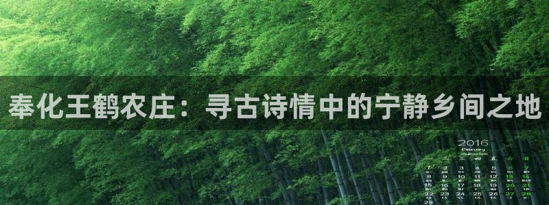 天辰娱乐注册登录