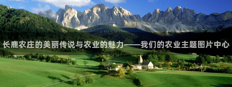 天辰娱乐平台app下载