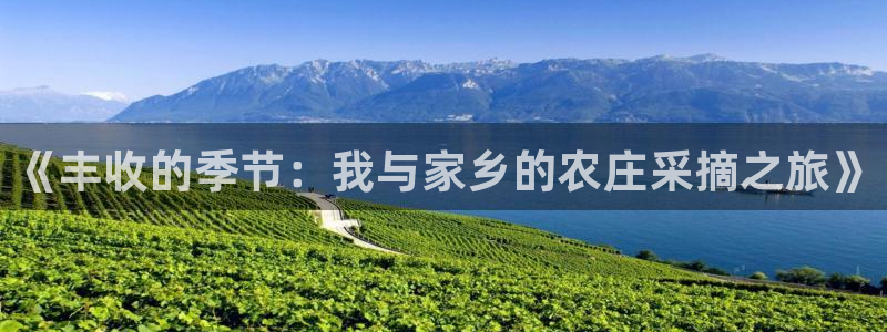 天辰娱乐官网平台入口