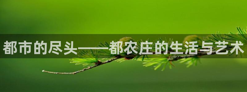 天辰娱乐网址娱乐游戏