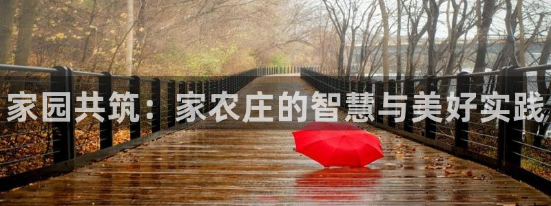 天辰辰娱乐代理