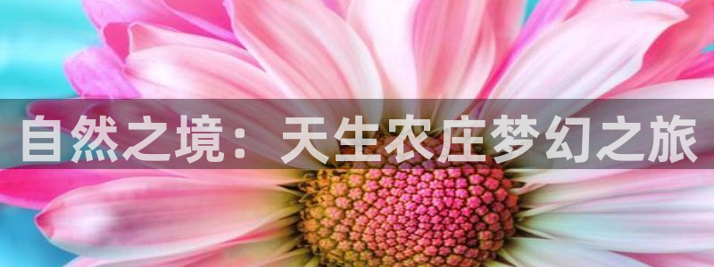 天辰娱乐官网