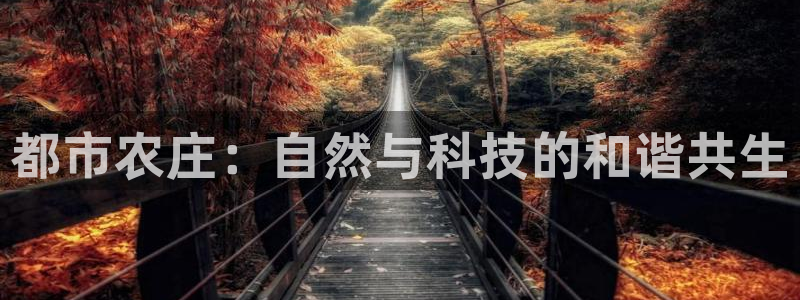 天辰娱乐885544