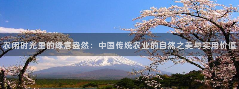 天辰娱乐平台