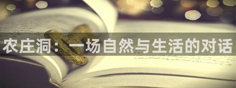 天辰娱乐官网平台入口