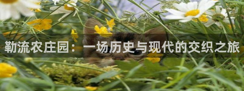 天辰娱乐网