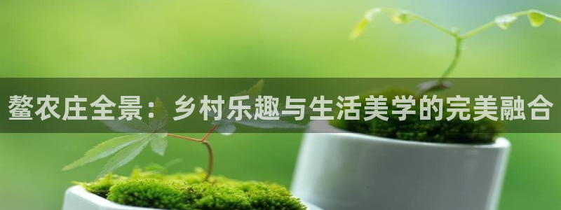 天辰娱乐文案