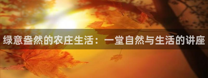 天辰娱乐75775