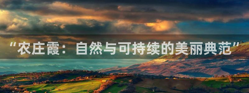 天辰娱乐总管年薪