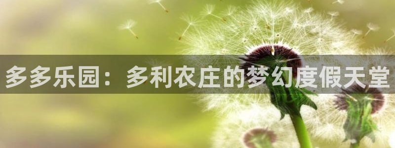 天辰娱乐 . 鱼刺