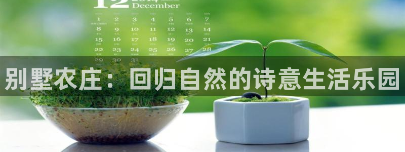 天辰娱乐APP下载