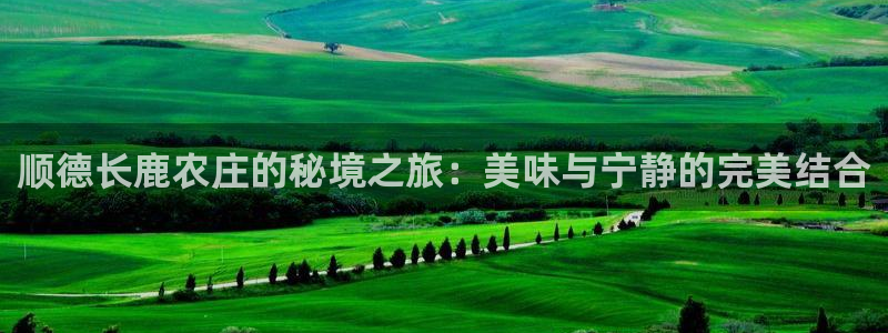 天辰娱乐官网平台下载