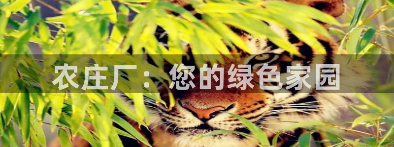 天富娱乐与天辰娱乐