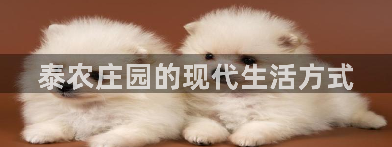 天辰娱乐 天辰平台