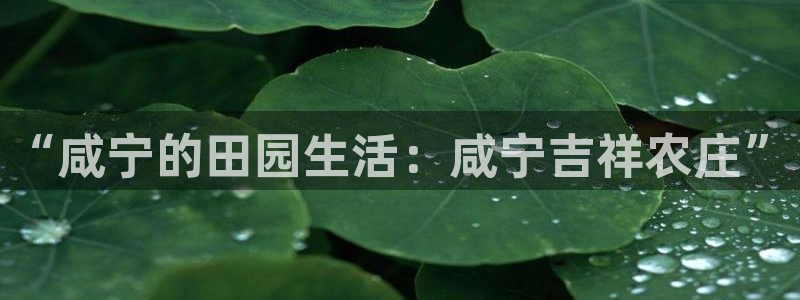 天富娱乐天辰娱乐