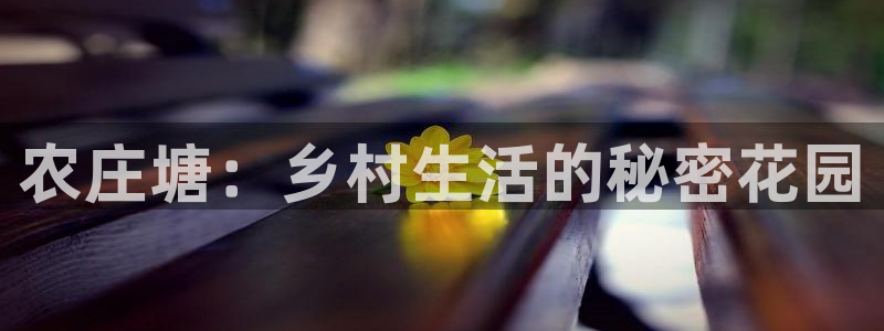 天辰娱乐在线登录注册