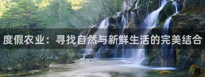 天辰娱乐平台地址在哪里