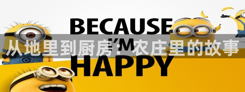 天辰娱乐下载地址