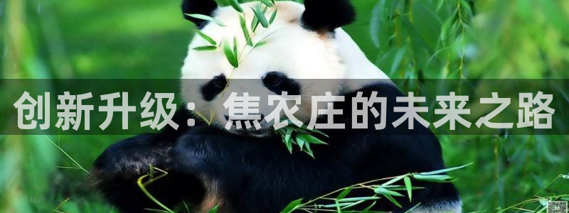 天辰娱乐娱乐平台