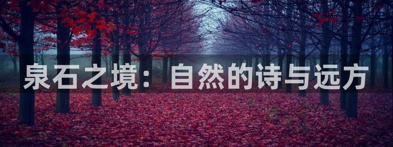 天辰娱乐天辰宝