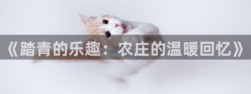 天辰娱乐登陆平台